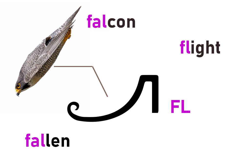 Diagram illustrating the FL hieroglyph through the English words falcon, flight, and fallen. The falcon’s diving trajectory is presented as the visual prototype of the hieroglyph, introducing the concept of flight as a symbolic transformation rather than merely physical motion.