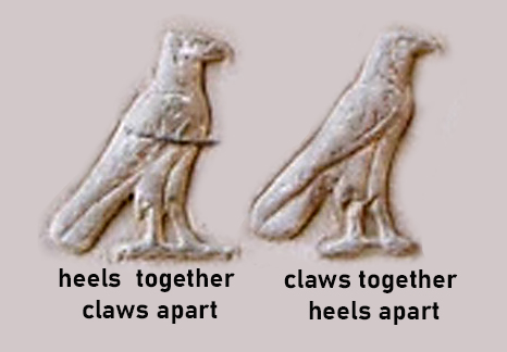 Two occurrences of the same falcon hieroglyph within a single Egyptian cartouche. Although the hieroglyph is repeated, the positions of the bird’s feet are intentionally reversed: one with heels together and claws apart, the other with claws together and heels apart, corresponding to the opening and closing positions of a skating swizzle.